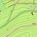 Landesamt für Vermessung und Geobasisinformationen Rheinland-Pfalz Allenbach (1:25,000) digital map