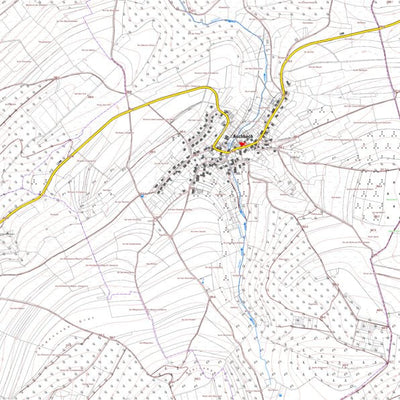 Landesamt für Vermessung und Geobasisinformationen Rheinland-Pfalz Aschbach (1:5,000) digital map
