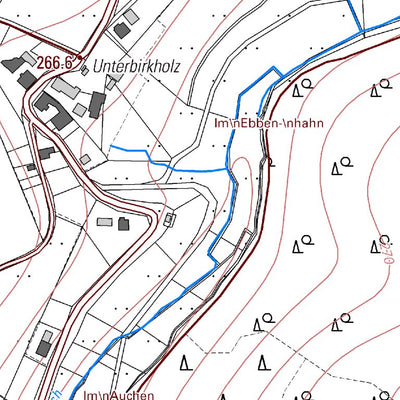 Landesamt für Vermessung und Geobasisinformationen Rheinland-Pfalz Birken-Honigsessen 5 (1:5,000) digital map