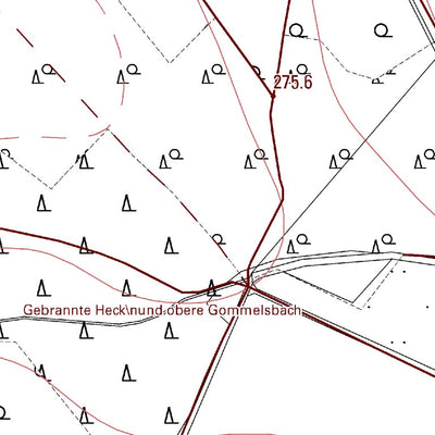 Landesamt für Vermessung und Geobasisinformationen Rheinland-Pfalz Birnbach (1:5,000) digital map