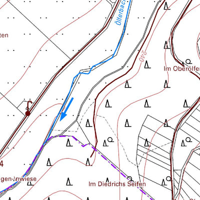 Landesamt für Vermessung und Geobasisinformationen Rheinland-Pfalz Birnbach (1:5,000) digital map