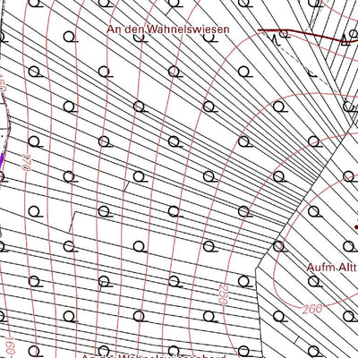 Landesamt für Vermessung und Geobasisinformationen Rheinland-Pfalz Bitzen (1:5,000) digital map