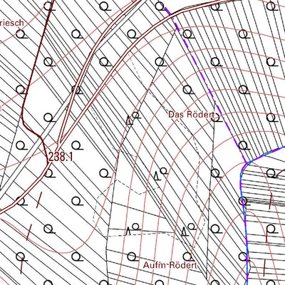 Landesamt für Vermessung und Geobasisinformationen Rheinland-Pfalz Bitzen (1:5,000) digital map
