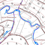 Landesamt für Vermessung und Geobasisinformationen Rheinland-Pfalz Bodenbach 1 (1:5,000) digital map