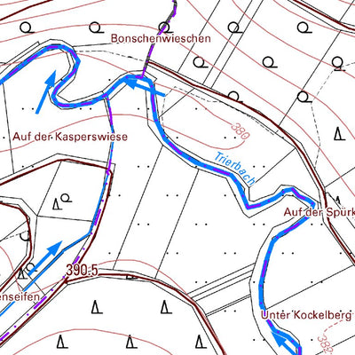 Landesamt für Vermessung und Geobasisinformationen Rheinland-Pfalz Bodenbach 1 (1:5,000) digital map