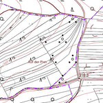Landesamt für Vermessung und Geobasisinformationen Rheinland-Pfalz Börrstadt 5 (1:5,000) digital map