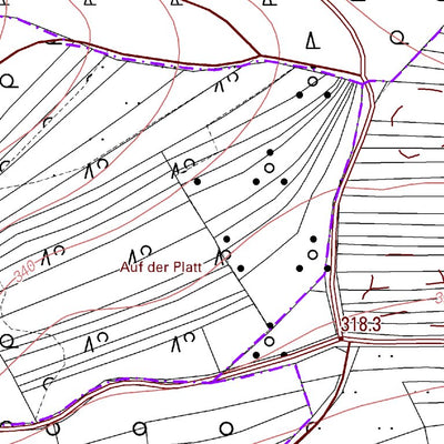 Landesamt für Vermessung und Geobasisinformationen Rheinland-Pfalz Börrstadt 5 (1:5,000) digital map