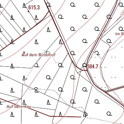 Landesamt für Vermessung und Geobasisinformationen Rheinland-Pfalz Boxberg (1:5,000) digital map