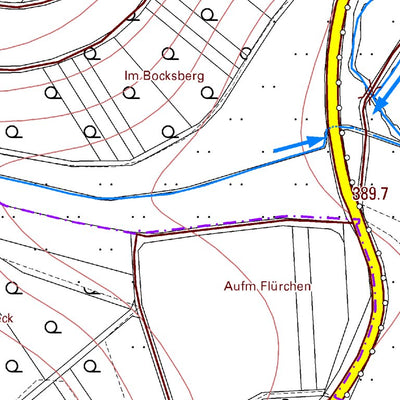 Landesamt für Vermessung und Geobasisinformationen Rheinland-Pfalz Dhronecken (1:5,000) digital map