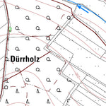 Landesamt für Vermessung und Geobasisinformationen Rheinland-Pfalz Dürrholz (1:5,000) digital map