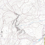Landesamt für Vermessung und Geobasisinformationen Rheinland-Pfalz Föckelberg (1:5,000) digital map