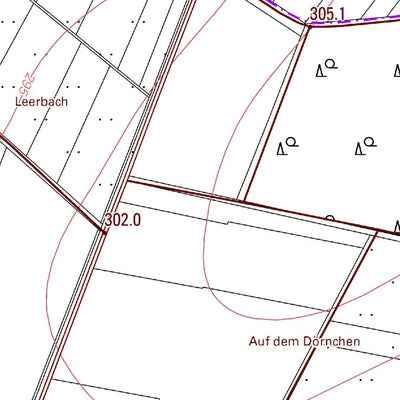 Landesamt für Vermessung und Geobasisinformationen Rheinland-Pfalz Freirachdorf 2 (1:5,000) digital map