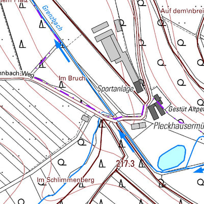 Landesamt für Vermessung und Geobasisinformationen Rheinland-Pfalz Güllesheim (1:5,000) digital map