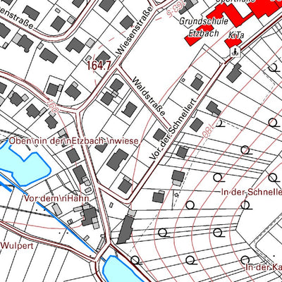 Landesamt für Vermessung und Geobasisinformationen Rheinland-Pfalz Hamm (Sieg) (1:5,000) digital map
