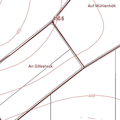 Landesamt für Vermessung und Geobasisinformationen Rheinland-Pfalz Horn 1 (1:5,000) digital map