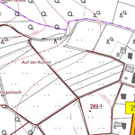 Landesamt für Vermessung und Geobasisinformationen Rheinland-Pfalz Isert (1:5,000) digital map