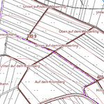 Landesamt für Vermessung und Geobasisinformationen Rheinland-Pfalz Mauden (1:5,000) digital map