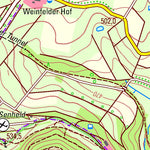 Landesamt für Vermessung und Geobasisinformationen Rheinland-Pfalz Mehren (1:25,000) digital map
