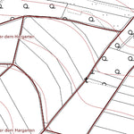Landesamt für Vermessung und Geobasisinformationen Rheinland-Pfalz Mertloch 2 (1:5,000) digital map
