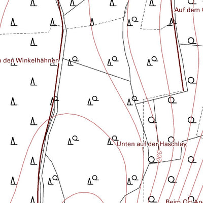 Landesamt für Vermessung und Geobasisinformationen Rheinland-Pfalz Mittelhof 1 (1:5,000) digital map