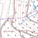 Landesamt für Vermessung und Geobasisinformationen Rheinland-Pfalz Neidenbach 2 (1:5,000) digital map