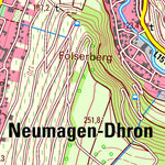Landesamt für Vermessung und Geobasisinformationen Rheinland-Pfalz Neumagen-Dhron (1:25,000) digital map