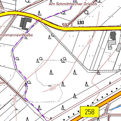 Landesamt für Vermessung und Geobasisinformationen Rheinland-Pfalz Nürburg (1:5,000) digital map