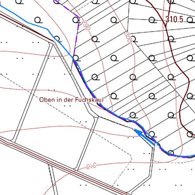 Landesamt für Vermessung und Geobasisinformationen Rheinland-Pfalz Ölsen (1:5,000) digital map