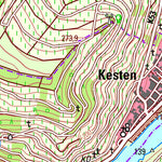 Landesamt für Vermessung und Geobasisinformationen Rheinland-Pfalz Osann-Monzel (1:25,000) digital map