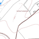 Landesamt für Vermessung und Geobasisinformationen Rheinland-Pfalz Reichenbach-Steegen 2 (1:5,000) digital map