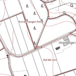 Landesamt für Vermessung und Geobasisinformationen Rheinland-Pfalz Reudelsterz 2 (1:5,000) digital map