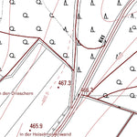 Landesamt für Vermessung und Geobasisinformationen Rheinland-Pfalz Riegenroth (1:5,000) digital map