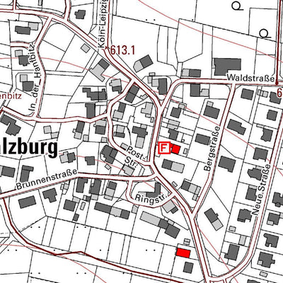 Landesamt für Vermessung und Geobasisinformationen Rheinland-Pfalz Salzburg (1:5,000) digital map