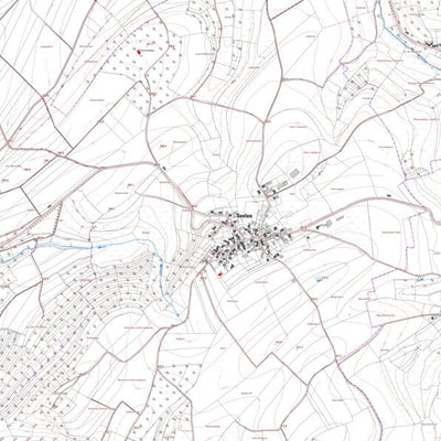 Landesamt für Vermessung und Geobasisinformationen Rheinland-Pfalz Seelen (1:5,000) digital map