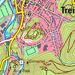 Landesamt für Vermessung und Geobasisinformationen Rheinland-Pfalz Treis-Karden (1:25,000) digital map