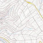 Landesamt für Vermessung und Geobasisinformationen Rheinland-Pfalz Waldrach 1 (1:5,000) digital map