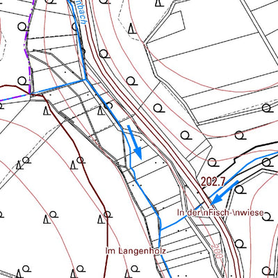 Landesamt für Vermessung und Geobasisinformationen Rheinland-Pfalz Walterschen (1:5,000) digital map