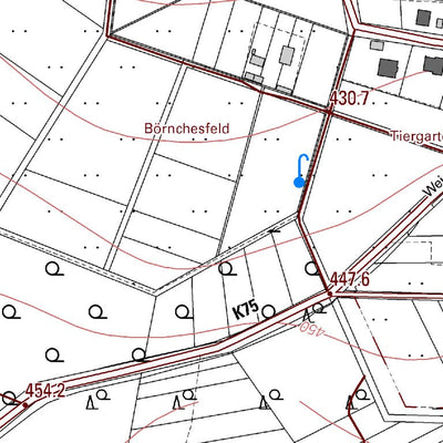 Landesamt für Vermessung und Geobasisinformationen Rheinland-Pfalz Weidenhahn (1:5,000) digital map