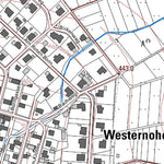 Landesamt für Vermessung und Geobasisinformationen Rheinland-Pfalz Westernohe 1 (1:5,000) digital map
