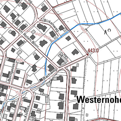 Landesamt für Vermessung und Geobasisinformationen Rheinland-Pfalz Westernohe 1 (1:5,000) digital map