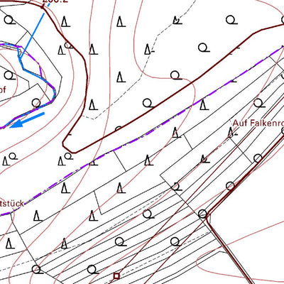 Landesamt für Vermessung und Geobasisinformationen Rheinland-Pfalz Wirfus 2 (1:5,000) digital map
