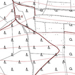 Landesamt für Vermessung und Geobasisinformationen Rheinland-Pfalz Wissen 4 (1:5,000) digital map