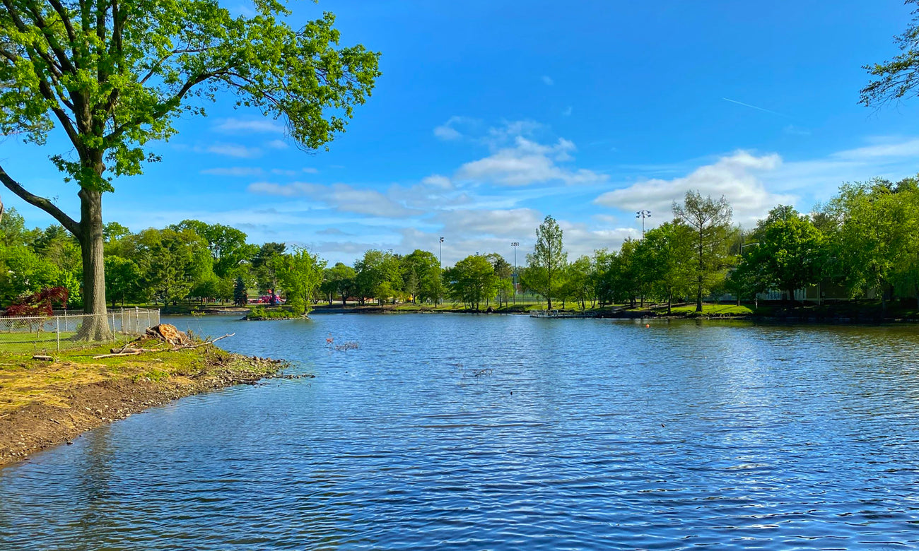 Vincent’s Pond in Degnan Park