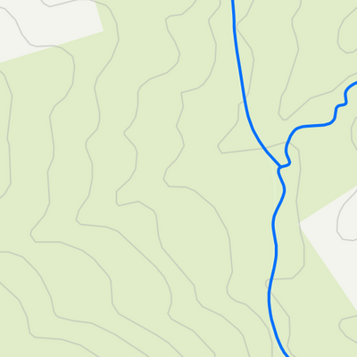 Sebago Cove Forest Trail Map Preview 2