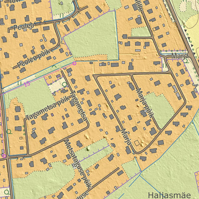 Maa-amet Aespa alevik, Kohila vald digital map