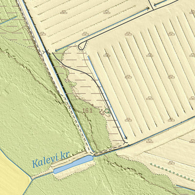 Maa-amet Ahaste küla, Pärnu linn digital map
