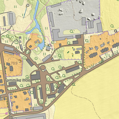 Maa-amet Ahtme linnaosa, Kohtla-Järve linn digital map