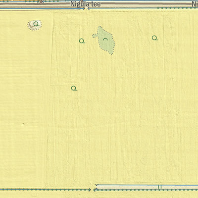 Maa-amet Eametsa küla, Tori vald digital map