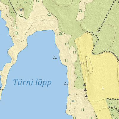 Maa-amet Esivere küla, Lääneranna vald (1) digital map