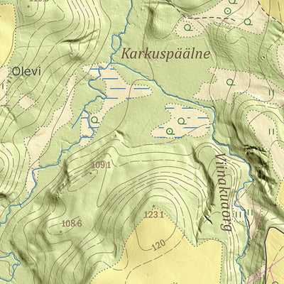 Maa-amet Heisri küla, Kanepi vald digital map